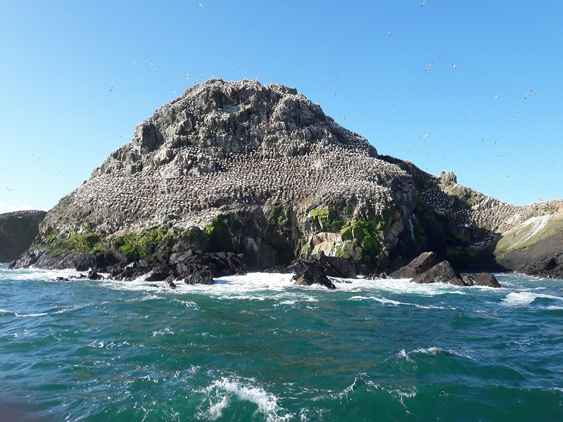 Perros-Guirec île de rouzic