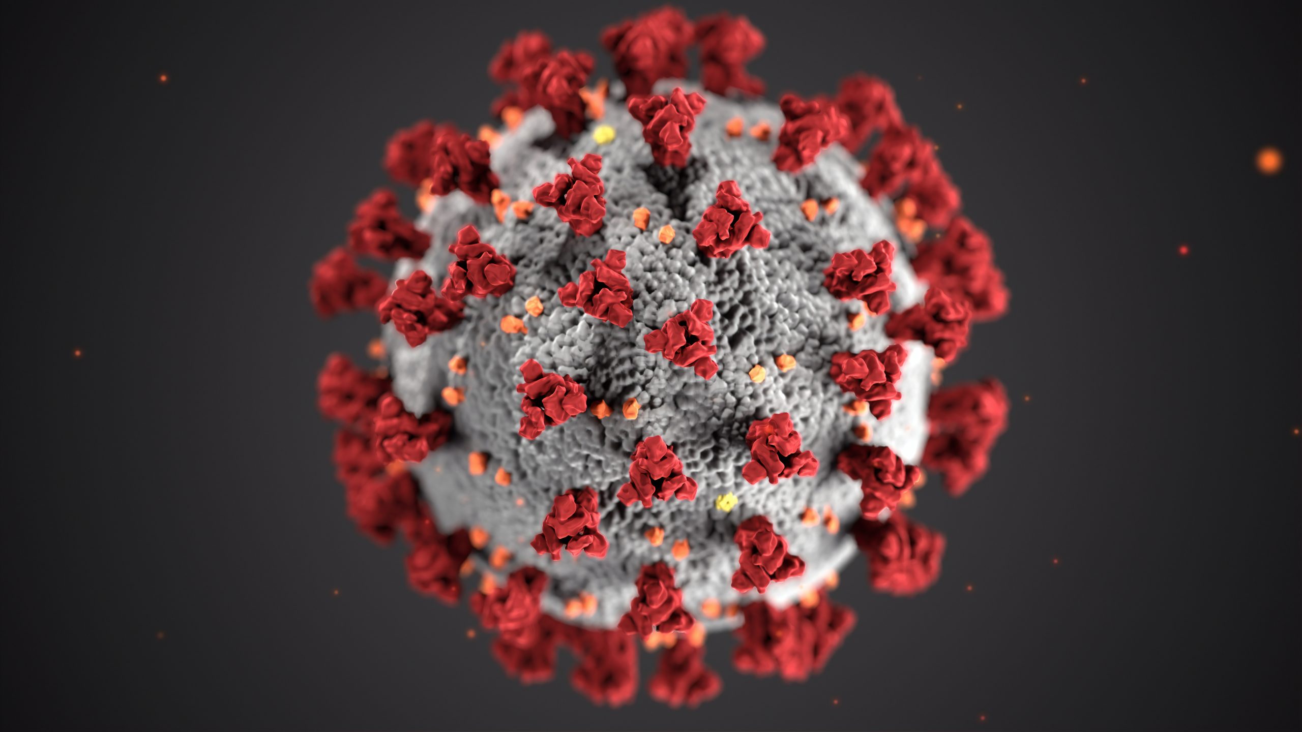 Virus