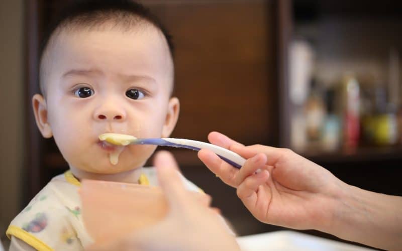 premiers repas bébé