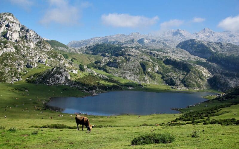 lac-pyrénées